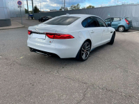 JAGUAR 1AA, 2135, NER | FUJI/POLARIS WHITE (FUJI WHITE, 极光白) 6