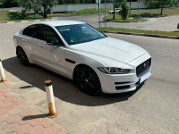 JAGUAR 1AQ, 2201, NAK | YULONG/GLACIER WHITE (GLACIER WHITE, 冰川白) 2