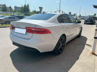 JAGUAR 1AQ, 2201, NAK | YULONG/GLACIER WHITE (GLACIER WHITE, 冰川白) 4