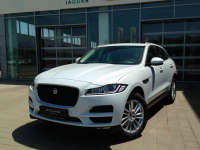 JAGUAR 1AQ, 2201, NAK | YULONG/GLACIER WHITE (GLACIER WHITE, 冰川白) 6