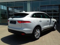 JAGUAR 1AQ, 2201, NAK | YULONG/GLACIER WHITE (GLACIER WHITE, 冰川白) 7