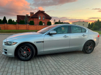 JAGUAR 1AC, 2130, 863, MEN | INDUS SILVER (RHODIUM SILVER, 印度河银) 4