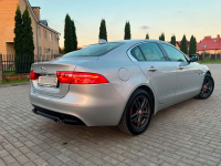 JAGUAR 1AC, 2130, 863, MEN | INDUS SILVER (RHODIUM SILVER, 印度河银) 7