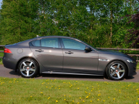 JAGUAR 1AR, 2200, LKS | TEMPEST GREY (TEMPEST GREY/WAITOMO GREY) 3