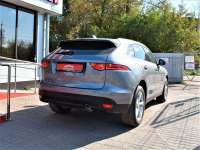 JAGUAR 1AB, 2136, LKH | CORRIS/AMMONITE GREY (AMMONITE GREY, 科里斯灰) 5