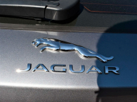 JAGUAR 1AB, 2136, LKH | CORRIS/AMMONITE GREY (AMMONITE GREY, 科里斯灰) 8