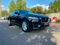 JAGUAR 1AT, 1807, PEC | NARVIK/EBONY (SOLID BLACK, EBONY, EBONY BLACK) 4