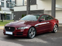 JAGUAR CAX, 2165, 1AH | ODYSSEY RED (ODYSSEY RED/MONTALCINO RED) 3