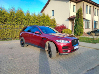 JAGUAR CAX, 2165, 1AH | ODYSSEY RED (ODYSSEY RED/MONTALCINO RED) 7