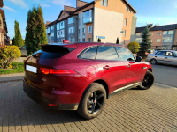 JAGUAR CAX, 2165, 1AH | ODYSSEY RED (ODYSSEY RED/MONTALCINO RED) 8