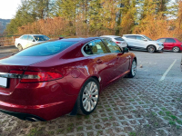 JAGUAR CAX, 2165, 1AH | ODYSSEY RED (ODYSSEY RED/MONTALCINO RED) 10