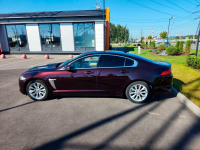 JAGUAR CBR, 2205, 1AX | ROSSELLO/AURORA RED (AURORA RED, ROSELLO RED, AURORE RED, ROSSELLO RED, 鱼子酱色) 5