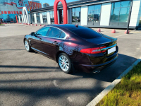 JAGUAR CBR, 2205, 1AX | ROSSELLO/AURORA RED (AURORA RED, ROSELLO RED, AURORE RED, ROSSELLO RED, 鱼子酱色) 6