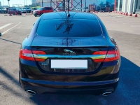 JAGUAR CBR, 2205, 1AX | ROSSELLO/AURORA RED (AURORA RED, ROSELLO RED, AURORE RED, ROSSELLO RED, 鱼子酱色) 7