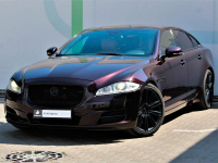 JAGUAR CBR, 2205, 1AX | ROSSELLO/AURORA RED (AURORA RED, ROSELLO RED, AURORE RED, ROSSELLO RED, 鱼子酱色) 8