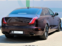 JAGUAR CBR, 2205, 1AX | ROSSELLO/AURORA RED (AURORA RED, ROSELLO RED, AURORE RED, ROSSELLO RED, 鱼子酱色) 9