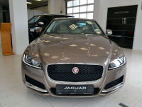 JAGUAR 1AP, 2162, BAG | QUARTZITE (QUARTZITE/KAIKOURA STONE, 石英色) 2