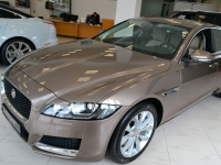 JAGUAR 1AP, 2162, BAG | QUARTZITE (QUARTZITE/KAIKOURA STONE, 石英色) 4