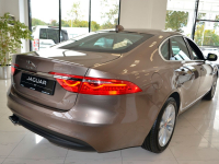 JAGUAR 1AP, 2162, BAG | QUARTZITE (QUARTZITE/KAIKOURA STONE, 石英色) 6