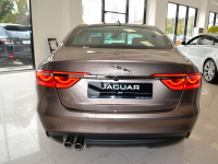 JAGUAR 1AP, 2162, BAG | QUARTZITE (QUARTZITE/KAIKOURA STONE, 石英色) 7