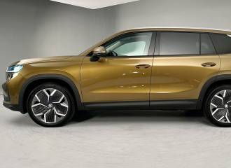 Образец цвета F8P BRONX GOLD на автомобиле - №0