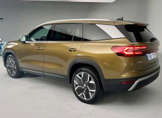 Образец цвета F8P BRONX GOLD на автомобиле - №1