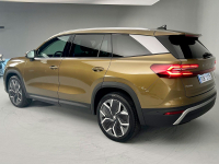 SKODA F8P, LF8P, L-F8P, P4, P4P4 | BRONX GOLD (BRONX GOLD PEARL) 3