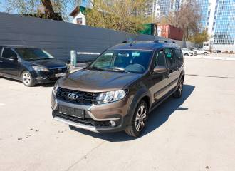 Образец цвета 250 БРЮН на автомобиле - №0