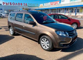 Образец цвета 250 БРЮН на автомобиле - №2