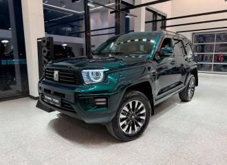 Образец цвета LA LA GREEN на автомобиле - №2