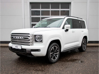 HAVAL 9F, 09F | PURE WHITE (JADE WHITE, СНЕЖНЫЙ ОНИКС) 2