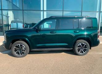 Образец цвета LA GREEN GREEN на автомобиле - №1