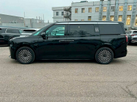 ZEEKR  | DARK BLACK (EXTREME NIGHT BLACK, 绿黝黑) 3