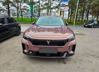 Образец цвета BD03 ALIGHT GOLD на автомобиле - №0