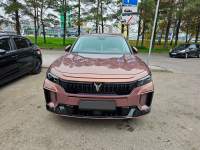 VOYAH BD03 | ALIGHT GOLD (ЗОЛОТОЙ ЖЕМЧУГ, 琉光金/觅紫棕) 2