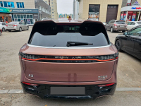 VOYAH BD03 | ALIGHT GOLD (ЗОЛОТОЙ ЖЕМЧУГ, 琉光金/觅紫棕) 5