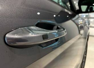 Образец цвета STARDUST на автомобиле - №3