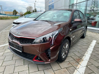 SOLARIS  | COGNAC BROWN () 7