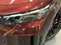 VOYAH  | БУРГУНДИ () 7