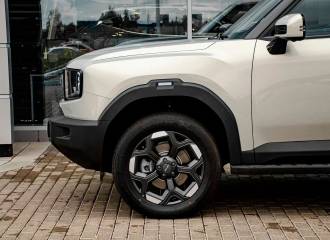 Образец цвета ЗОЛОТИСТЫЙ на автомобиле - №3