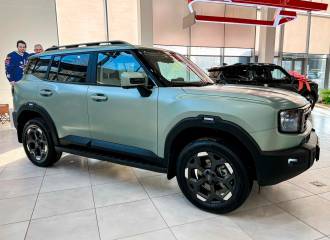 Образец цвета ЗЕЛЕНЫЙ (MATT) на автомобиле - №1