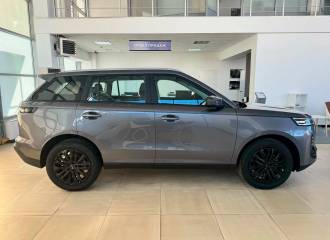 Образец цвета СЕРЫЙ на автомобиле - №2