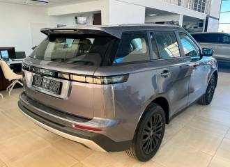 Образец цвета СЕРЫЙ на автомобиле - №3