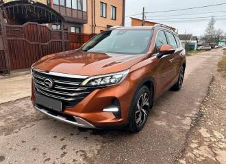 Образец цвета B21 БЛАГОРОДНЫЙ СКАКУН на автомобиле - №1