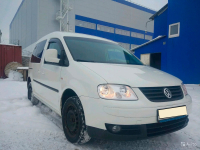 VOLKSWAGEN R902, 9008, 9903, T7 | GRAUWEISS (RAL9002, ARCTIC WHITE, BRANCO EVEREST) 3