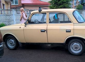 Образец цвета 108 ЛИЛИЯ на автомобиле - №2