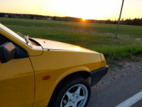 LADA (ВАЗ) 223 | НАРЦИСС (NARCISSUS YELLOW, NARCIS) 4