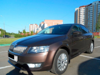 SKODA LF8Z, 4L, F8Z | HNEDA TOPAZ/TOPAZ BRAUN (4L 寶石棕, ТОПАЗ КОРИЧНЕВЫЙ) 6