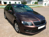 SKODA LF8Z, 4L, F8Z | HNEDA TOPAZ/TOPAZ BRAUN (4L 寶石棕, ТОПАЗ КОРИЧНЕВЫЙ) 7
