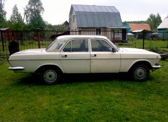 Образец цвета 295 СЛИВОЧНО БЕЛЫЙ на автомобиле - №0